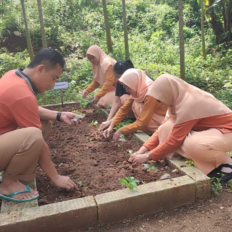 Menanam sayur di kebun kita....
